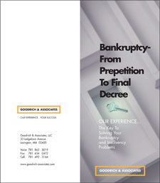 Bankruptcy - From Prepetition to Final Decree